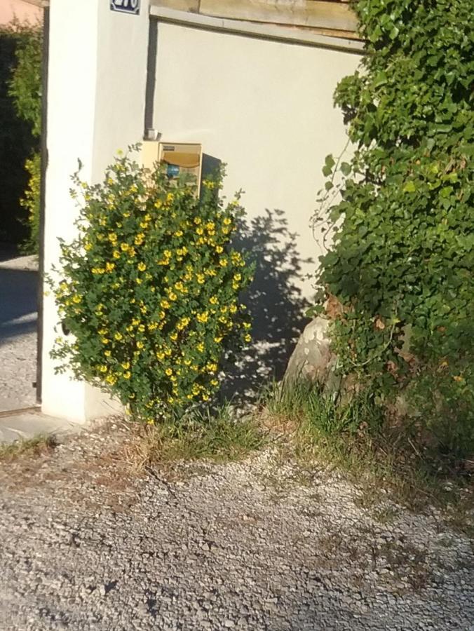 Une Chambre En Ville L'Isle-sur-la-Sorgue Ngoại thất bức ảnh
